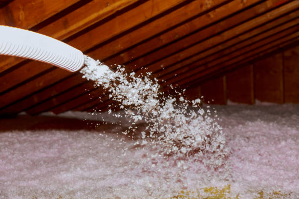 Best Spray Foam Insulation in Coronado, CA