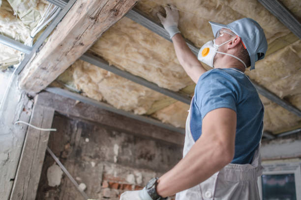 Best Eco-Friendly Insulation in Coronado, CA