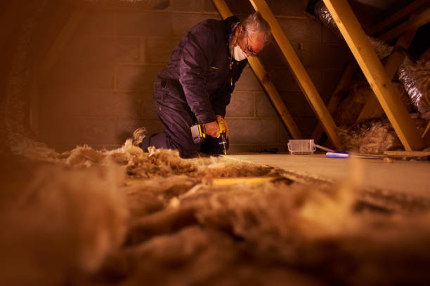 Best Blown-in Insulation in Coronado, CA